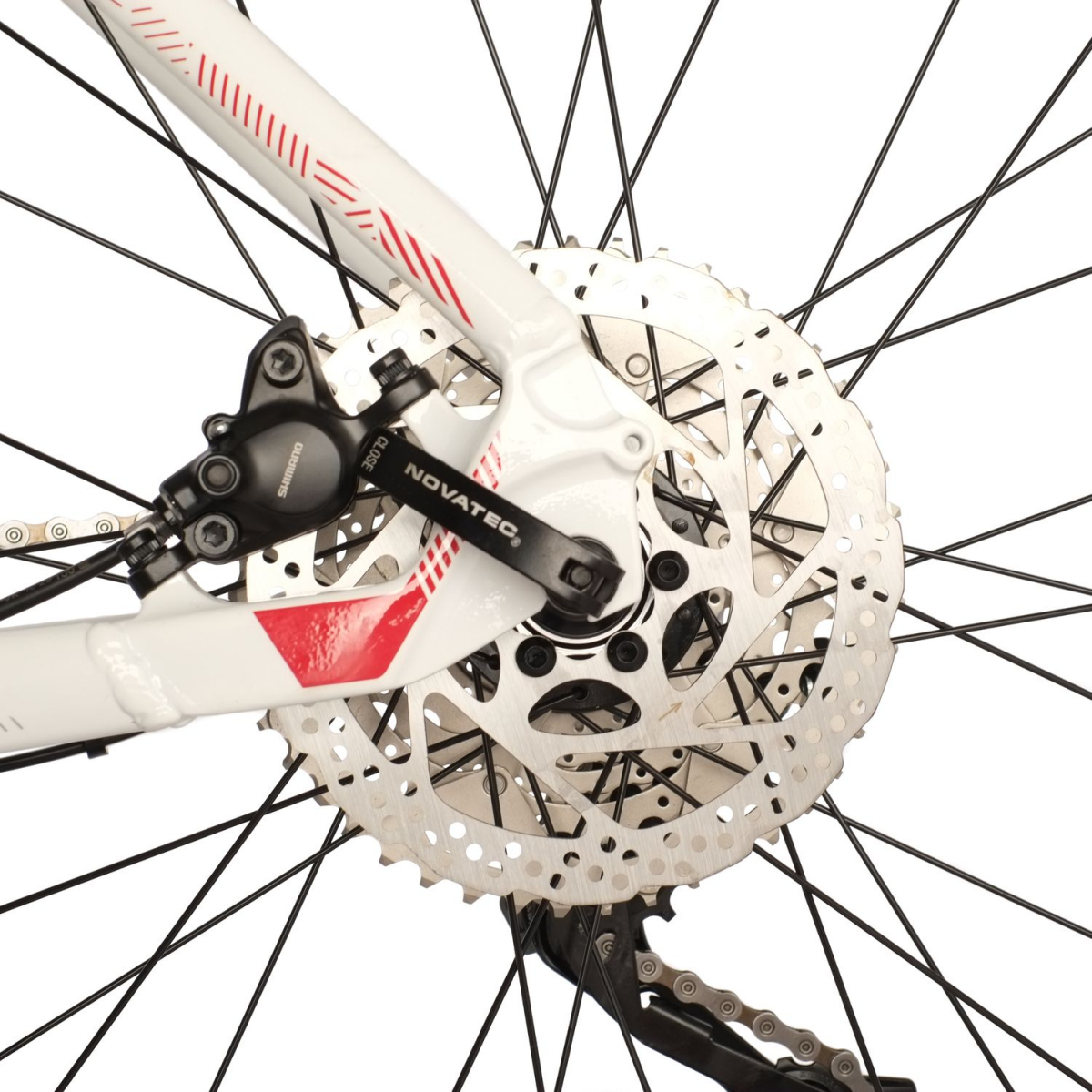Горный (MTB) велосипед Stinger Reload Evo 29 (2021) рама 18