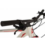 gornyj-mtb-velosiped-stinger-reload-evo-29-2021-rama-18-belyj